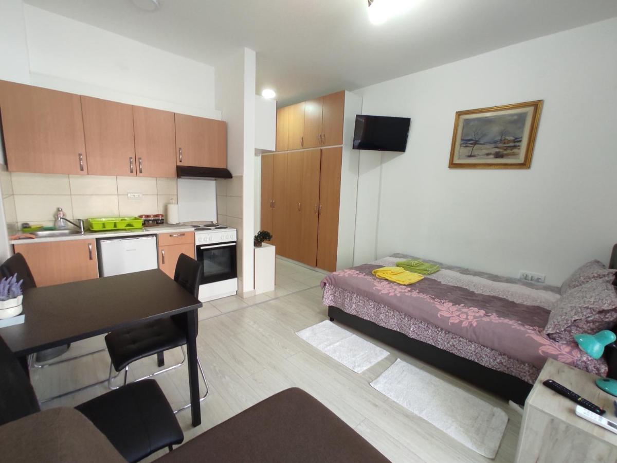 Apartman Goca Banja Koviljača Esterno foto